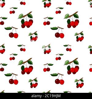 Seamless pattern with cherry Stock illustration, vector, hand drawing, design element  for printing, scrapbooking, postcard Stock Vector