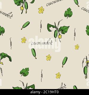seamless pattern cucumber on a branch, hand-drawing, doodle style Stock Vector