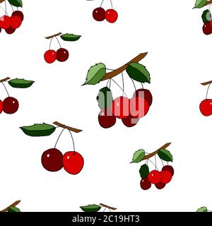 Seamless pattern with cherry Stock illustration, vector, hand drawing, design element  for printing, scrapbooking, postcard Stock Vector