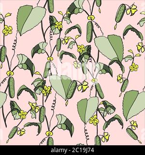 seamless pattern cucumber on a branch, hand-drawing, doodle style Stock Vector