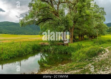 the Zittola stream flows through the meadows of the Montenero peat bog. Montenero Valcocchiara, Molise region, Italy, Erurope Stock Photo