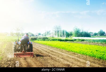 A farmer on a tractor cultivates a field before a new planting. Soil milling, crumbling and mixing. Loosening the surface, cultivating land for furthe Stock Photo