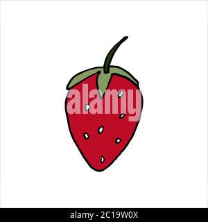 Isolated on white strawberry, Stock Illustration, vector, hand drawing, design element  for printing, scrapbooking, postcard Stock Vector