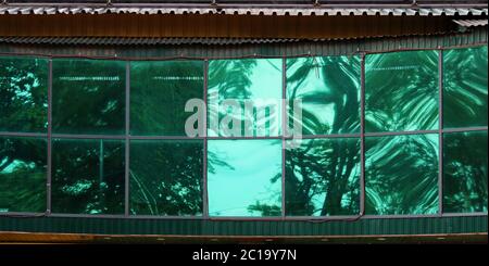 Large green glass windows in the city shopping center Stock Photo