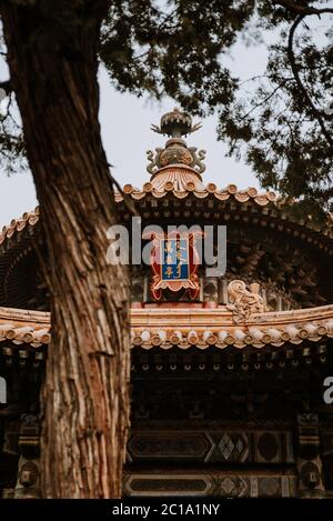 Detail of one of the interior constructions of the forbidden city in beijing Stock Photo