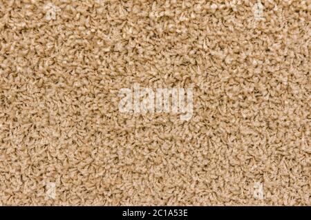 carpet. Background. Textile texture. Stock Photo