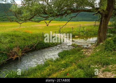 the Zittola stream flows through the meadows of the Montenero peat bog. Montenero Valcocchiara, Molise region, Italy, Europe Stock Photo