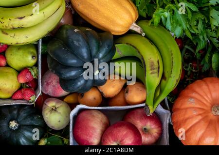 Fresh organic fruits and vegetables immediFresh organic fruits and vegetables. Different types of pumpkins. Diversity of natureately after harvest. Bundles of fresh green leaves. Different types of pumpkins. Diversity of nature. Bananas, fennel, onions, cucumbers, tomatoes, cherry tomatoes. Onions, beets, potatoes, peaches, bok choy, strawberries, pakistani strawberries, sash, pear, apple, fennel, celery, peppers of all kinds. Stock Photo