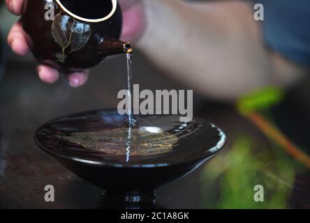 (200615) -- NANCHANG, June 15, 2020 (Xinhua) -- Craftsman Wu Ying demonstrates with a leaf cup at his studio in Ji'an County, east China's Jiangxi Province, June 10, 2020.  There are no two identical leaf cups, just as there are no two identical leaves in the world. The making of a leaf cup, a traditional craft endemic in today's Ji'an County, is special -- the artisan has to integrate a leaf into the porcelain ware being worked on.    Wu Yingshan, an inheritor of the leaf cup making techniques, started to study on porcelain in 2003. With the development of bulk production, the traditional way Stock Photo