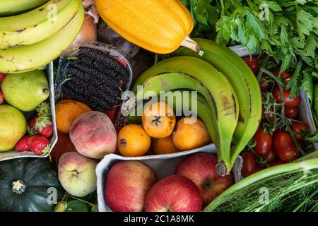Fresh organic fruits and vegetables immediFresh organic fruits and vegetables. Different types of pumpkins. Diversity of natureately after harvest. Bundles of fresh green leaves. Different types of pumpkins. Diversity of nature. Bananas, fennel, onions, cucumbers, tomatoes, cherry tomatoes. Onions, beets, potatoes, peaches, bok choy, strawberries, pakistani strawberries, sash, pear, apple, fennel, celery, peppers of all kinds. Stock Photo