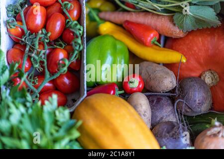 Fresh organic fruits and vegetables immediFresh organic fruits and vegetables. Different types of pumpkins. Diversity of natureately after harvest. Bundles of fresh green leaves. Different types of pumpkins. Diversity of nature. Bananas, fennel, onions, cucumbers, tomatoes, cherry tomatoes. Onions, beets, potatoes, peaches, bok choy, strawberries, pakistani strawberries, sash, pear, apple, fennel, celery, peppers of all kinds. Stock Photo