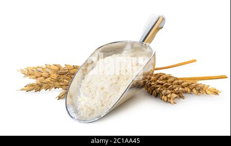Flour in scoop and spikelets of wheat isolated on a white background Stock Photo