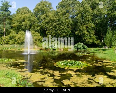 This lochan is a wild life haven at Dumfries House Estate, Cumnock, Ayrshire,Scotland,Uk Stock Photo