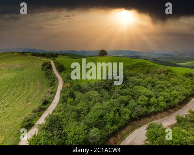 Impressive spring landscape,view with cypresses and vineyards ,Tuscany,Italy Stock Photo