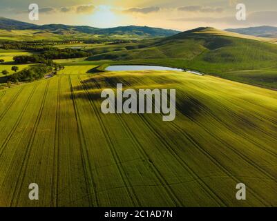 Impressive spring landscape,view with cypresses and vineyards ,Tuscany,Italy Stock Photo