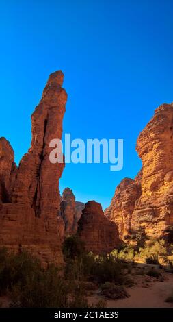 Bizzare rock formation at Essendilene, Tasili, Algeria Stock Photo