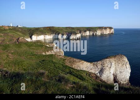 White cliffs of Flamborough Head, Near Bridlington, East Riding of Yorkshire, England, United Kingdom, Europe Stock Photo