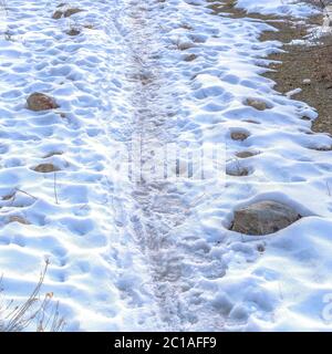 Square frame Trail on the snow covered terrain of a mountain in Provo Canyon Utah in winter Stock Photo