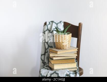 Bedroom interior close up with green plaid, books and plant on a chair Stock Photo
