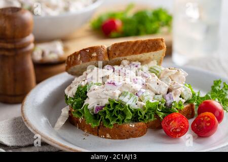 Chicken salad sandwich with lettuce on whole grain bread and grape tomatoes on a plate Stock Photo