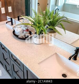 Square Two sinks on white countertop with plant beside tray of cotton and soap in jars Stock Photo