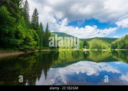 reflection in the water. lake among the forest. beautiful nature landscape in summer. sunny weather with puffy clouds on the sky Stock Photo