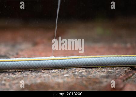 leak in Hozelock hose pipe - UK Stock Photo