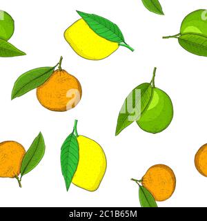 Citrus fruits - orange, lime. Seamless pattern Stock Vector