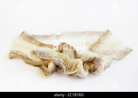 jacket cast-off skin of snake Royal Python on a white background. Stock Photo