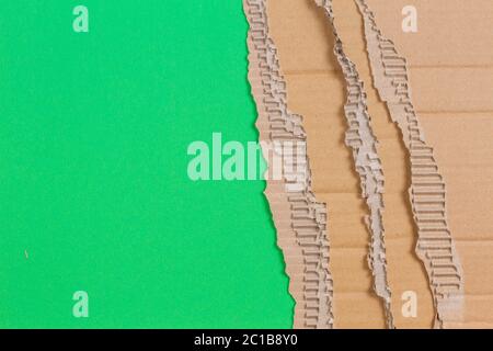Piece of corrugated cardboard with torn paper edge on green background Stock Photo