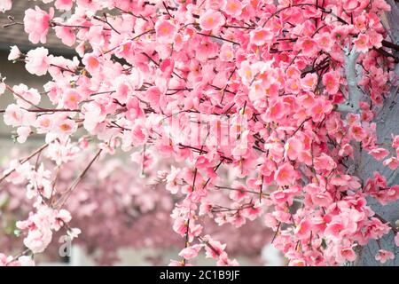 Shrub of artificial pink faux flowers blossom on a tree, detail Stock Photo
