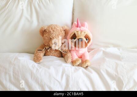 Close up of two teddies in bed, with white linen, in a light, airy bedroom Stock Photo