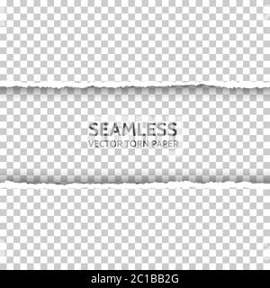 Vector seamless torn paper on transparent background. Isolated ripped paper edge with soft shadow. Template for your design. Sample text Stock Vector