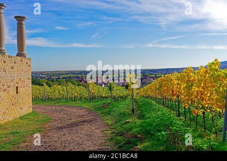 Villa Rustica Weilberg, Ortsansicht, Weinstöcke, Herbstlaub Stock Photo