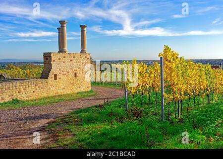 Villa Rustica Weilberg, Weinstöcke, Herbstlaub Stock Photo