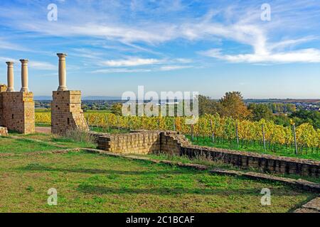 Villa Rustica Weilberg, Weinstöcke, Herbstlaub Stock Photo