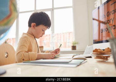 Sde view portrait of cute little boy doing homework while sitting at desk by computer with online school website, copy space Stock Photo