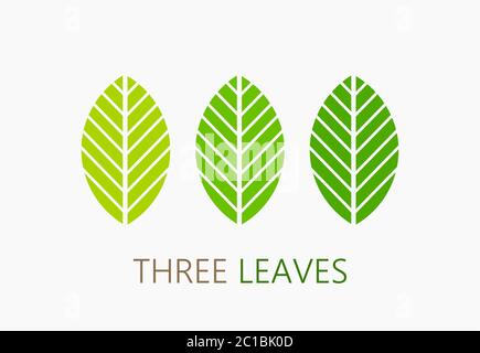 Three green leaves icons. Vector illustration Stock Vector Image & Art ...
