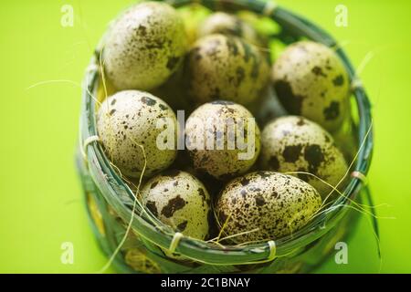 Quail Eggs in Basket Stock Photo