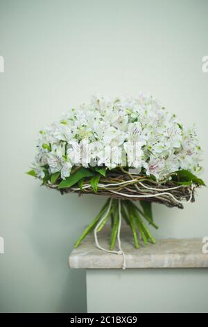 White Lily of the Incas in a bunch Stock Photo