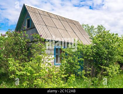 Old village abandoned house in thicket of grass and bushes under a Sunny blue sky. High quality photo Stock Photo