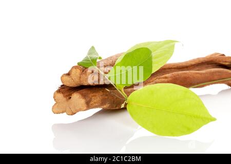 Banisteriopsis caapi wood and leaves. Stock Photo