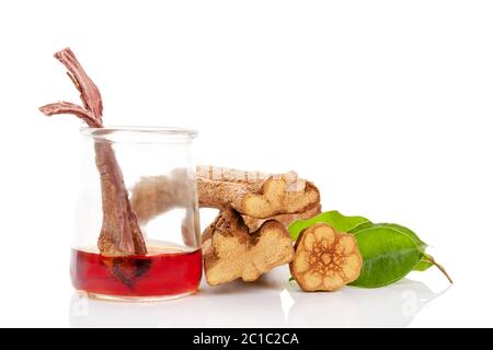 Ayahuasca brew in glass with banisteriopsis caapi wood. Stock Photo