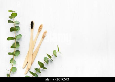 Flat lay composition with eco-friendly bamboo toothbrushes and eucalyptus branch on white background. Zero waste concept. Top view, copy space for tex Stock Photo