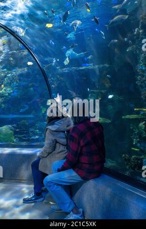 Virginia Aquarium and Marine Science Center Virginia Beach Stock Photo