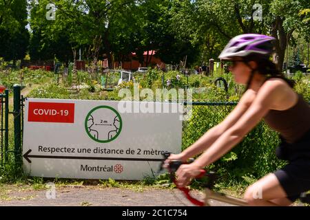 Verdun, CA - 14 June 2020 : Woman riding a bike in front of sign showing french Covid-19 safety guidelines Stock Photo