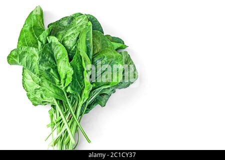 Fresh organic Swiss Silverbeet chard or spinach leaves with drops of water on white background. Healthy eating concept.  Stock Photo