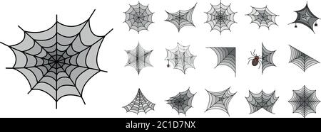 Spider icon set line color vector Stock Vector