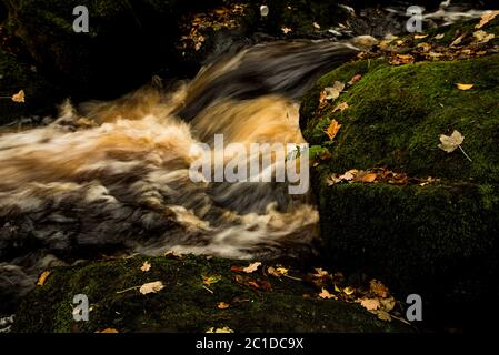 Flowing river water with Autumn leaves on mossy rocks Stock Photo