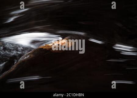 Flowing water with leaves captured on a submerged rock Stock Photo